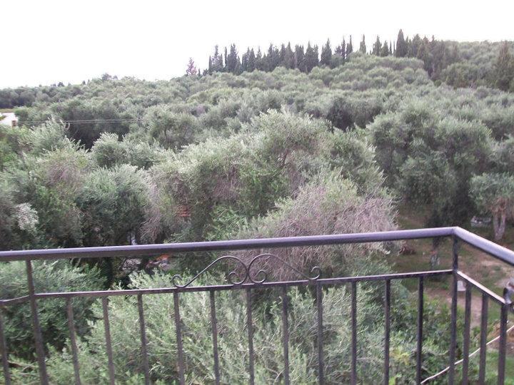 Apollo Hotel Kavos Bagian luar foto