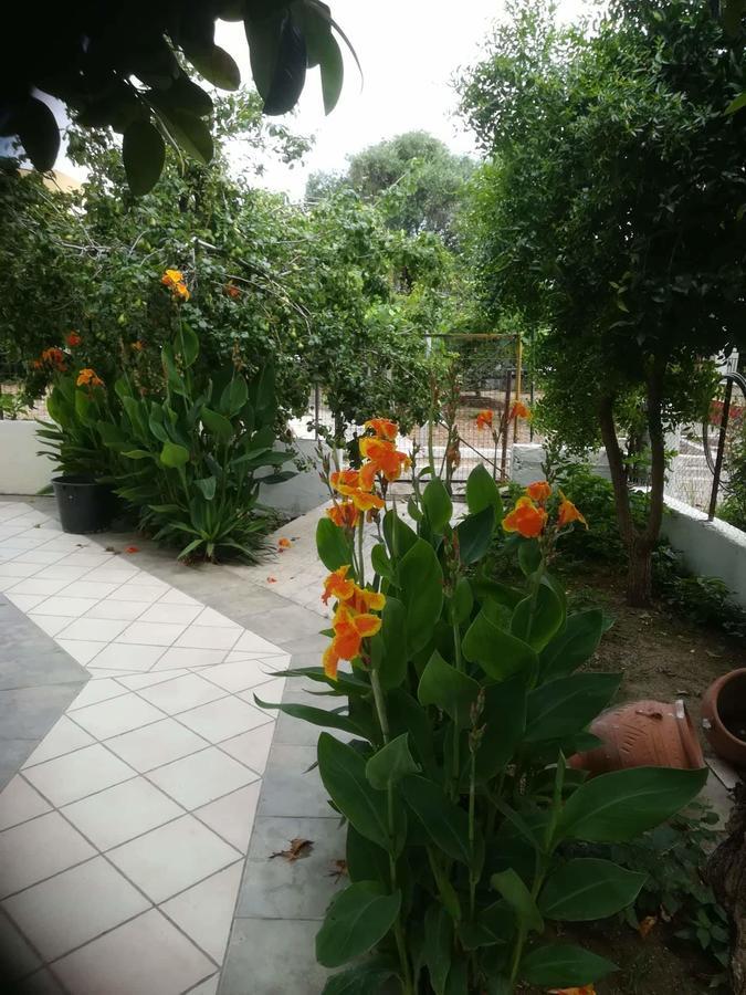 Apollo Hotel Kavos Bagian luar foto
