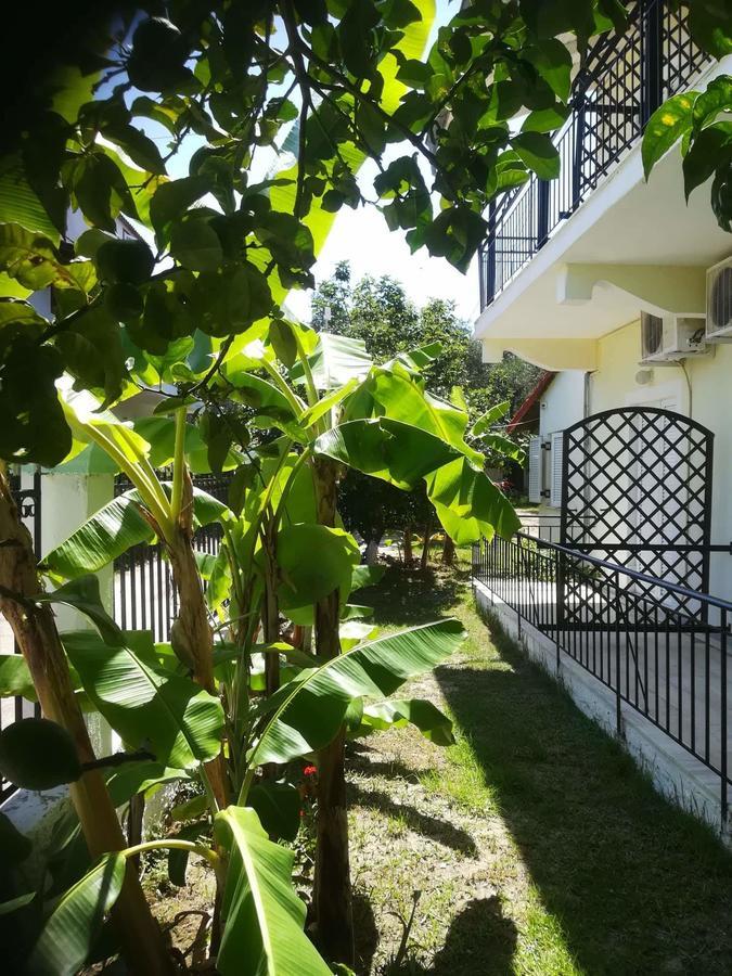 Apollo Hotel Kavos Bagian luar foto