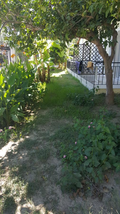 Apollo Hotel Kavos Bagian luar foto