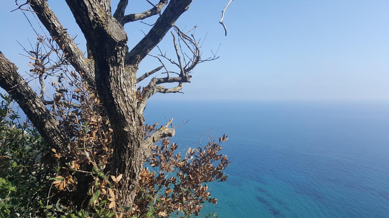 Apollo Hotel Kavos Bagian luar foto