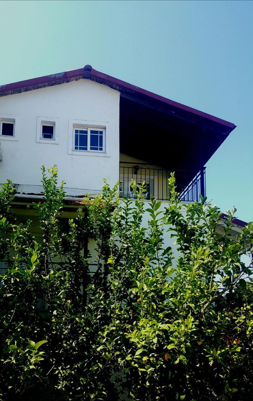 Apollo Hotel Kavos Bagian luar foto